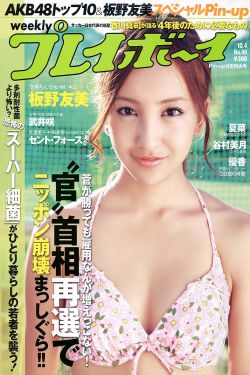 百变狸猫