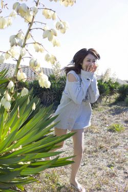 每晚梦见进入男神c梦里
